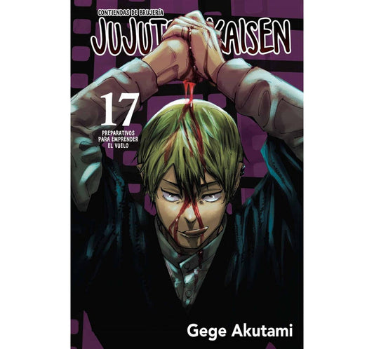 JUJUTSU 17
