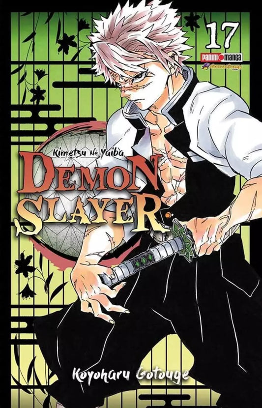 KIMETSU NO YAIBA 17