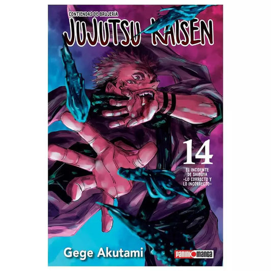 JUJUTSU 14